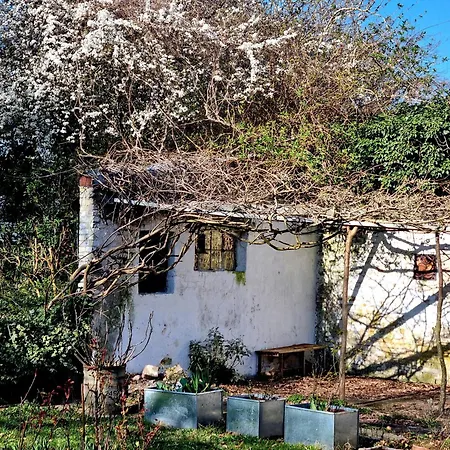 Gronnegade * Stubbekøbing