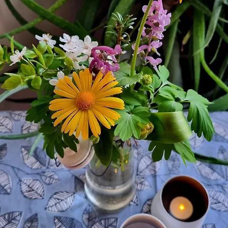 게스트하우스 Gronnegade